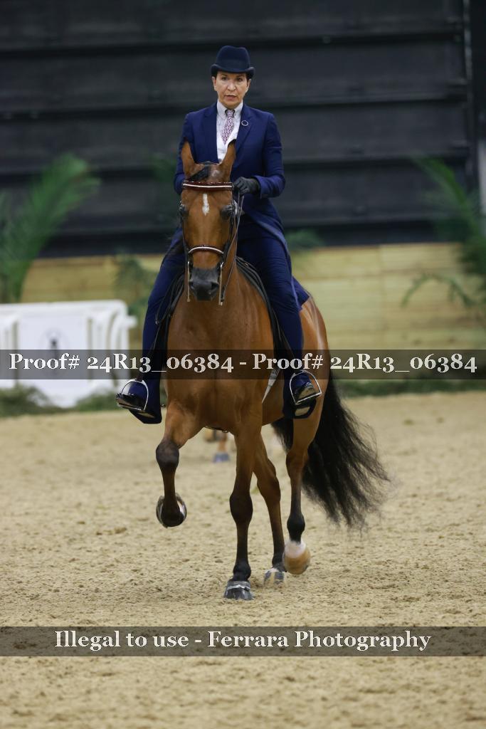 Proof Number 24R13_06384