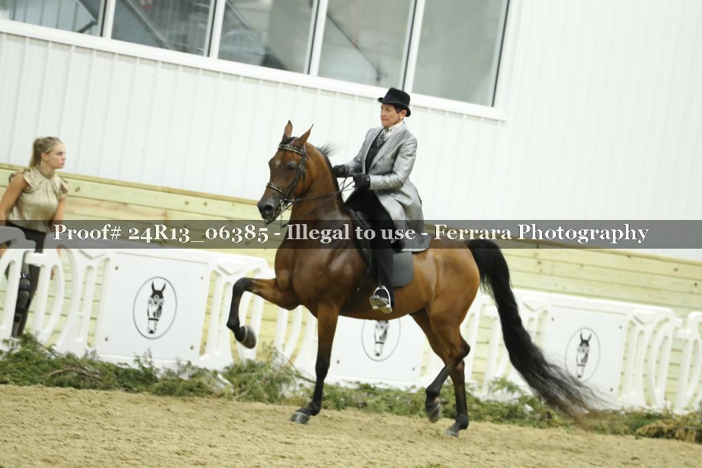 Proof Number 24R13_06385