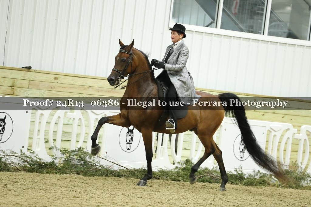 Proof Number 24R13_06386