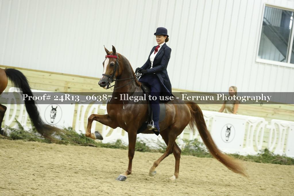 Proof Number 24R13_06387