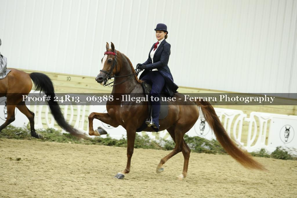 Proof Number 24R13_06388