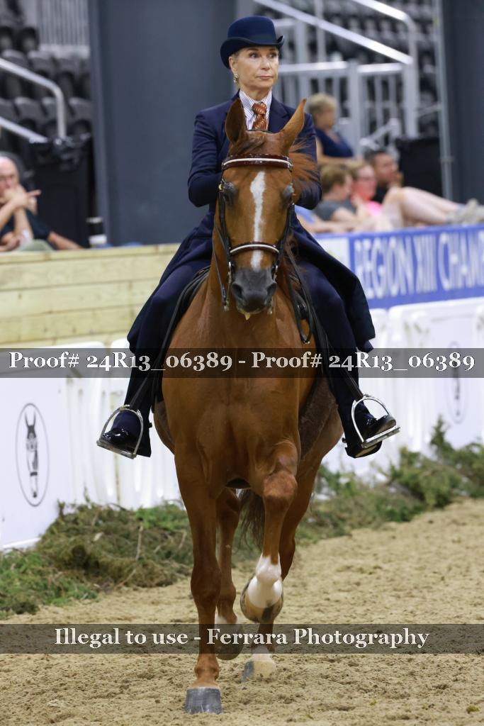 Proof Number 24R13_06389