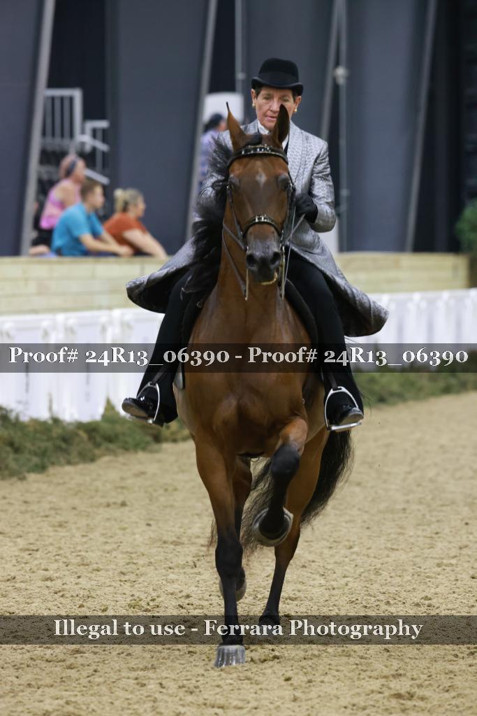 Proof Number 24R13_06390