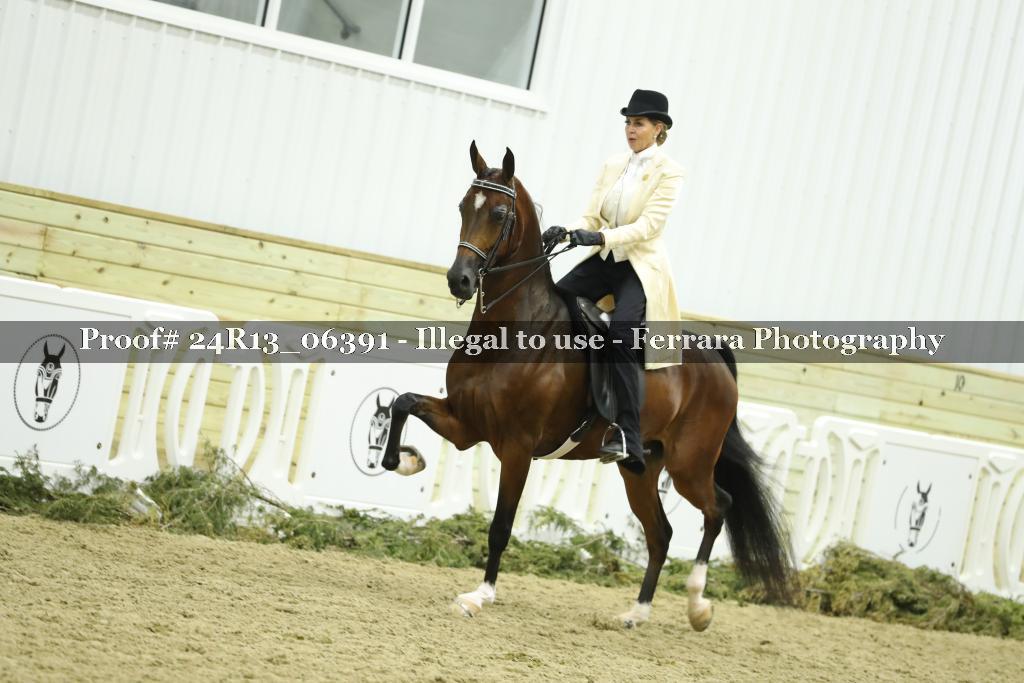 Proof Number 24R13_06391