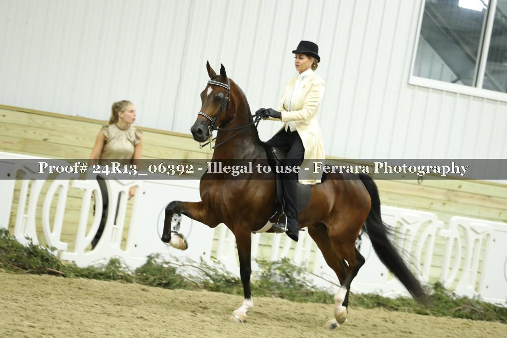 Proof Number 24R13_06392
