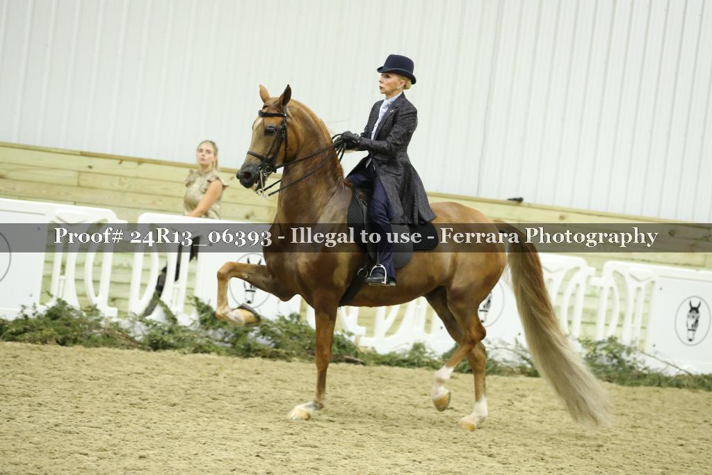 Proof Number 24R13_06393