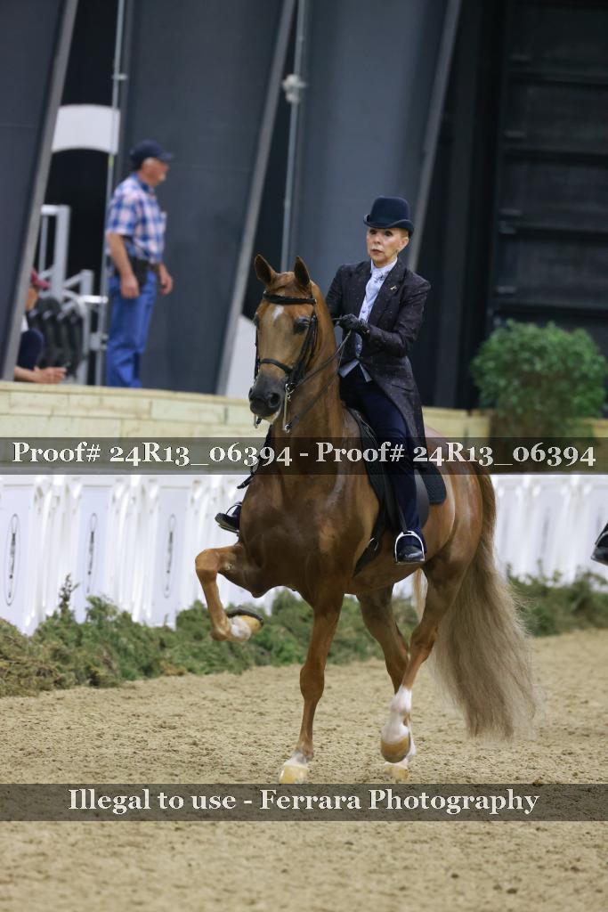 Proof Number 24R13_06394