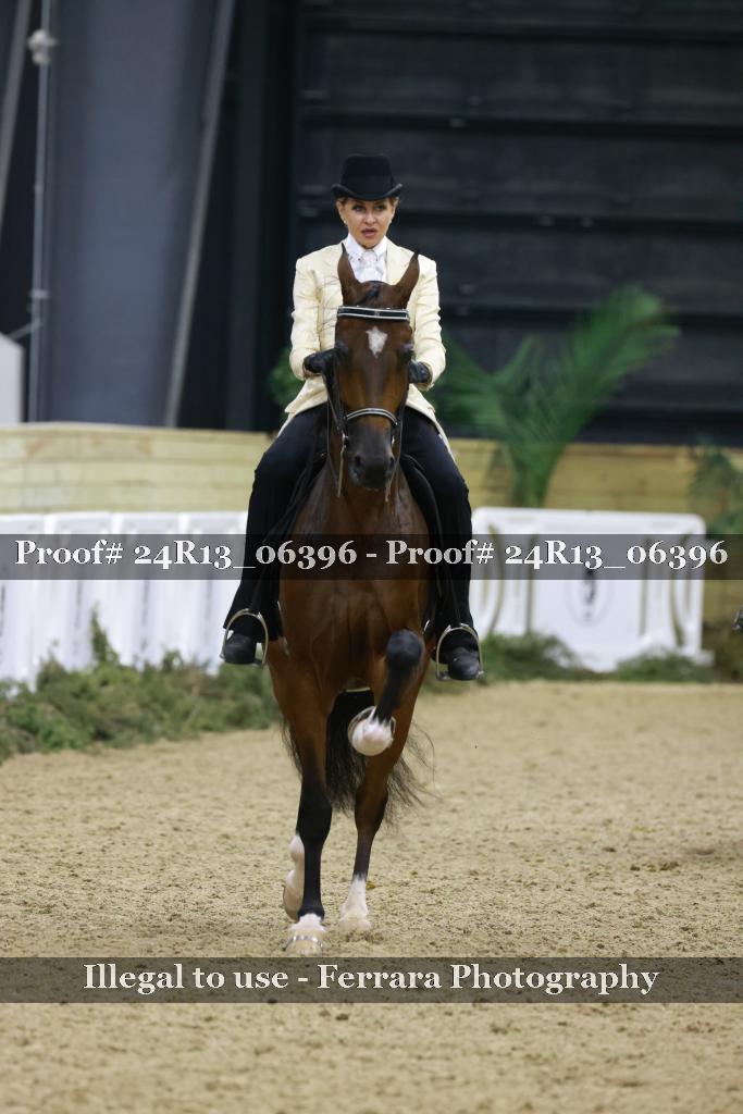 Proof Number 24R13_06396