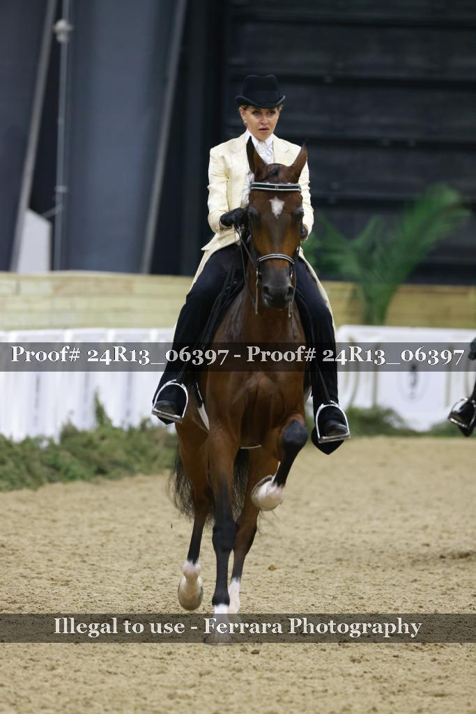 Proof Number 24R13_06397