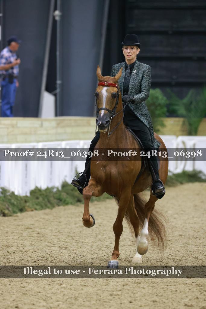 Proof Number 24R13_06398