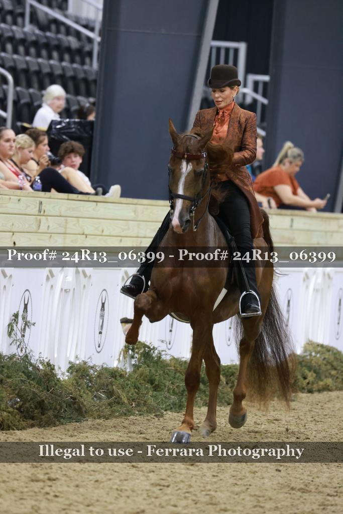 Proof Number 24R13_06399