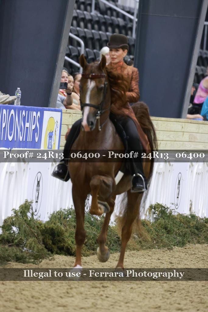 Proof Number 24R13_06400