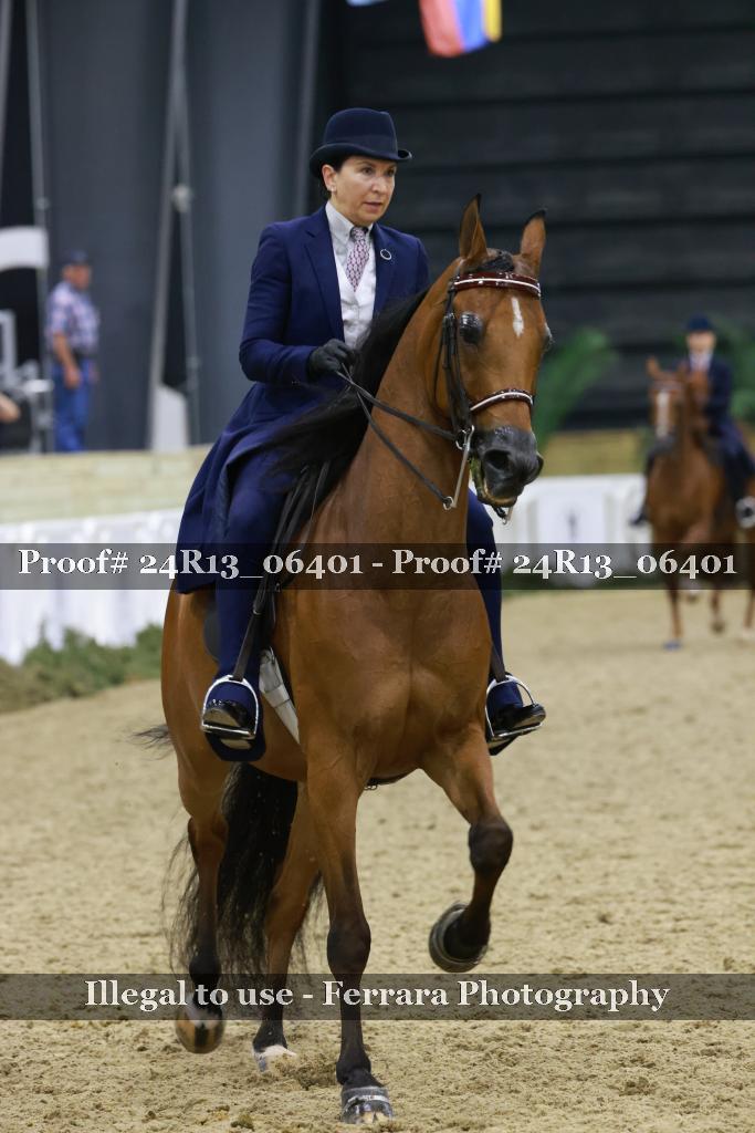 Proof Number 24R13_06401