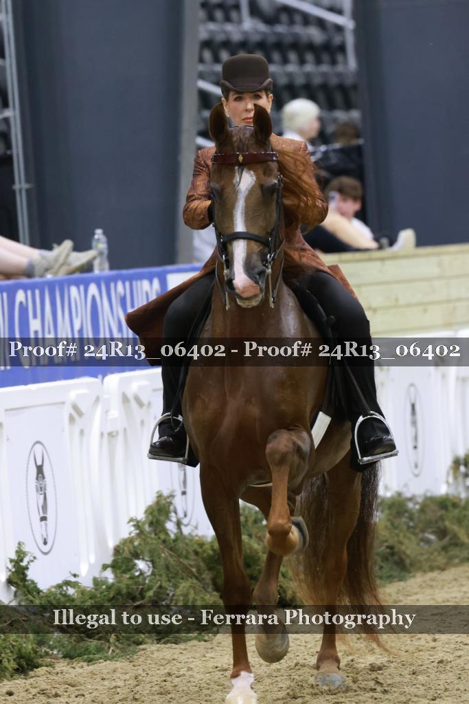 Proof Number 24R13_06402