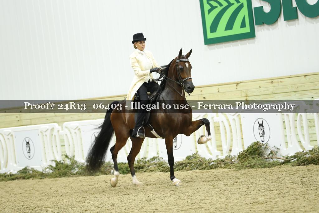 Proof Number 24R13_06403