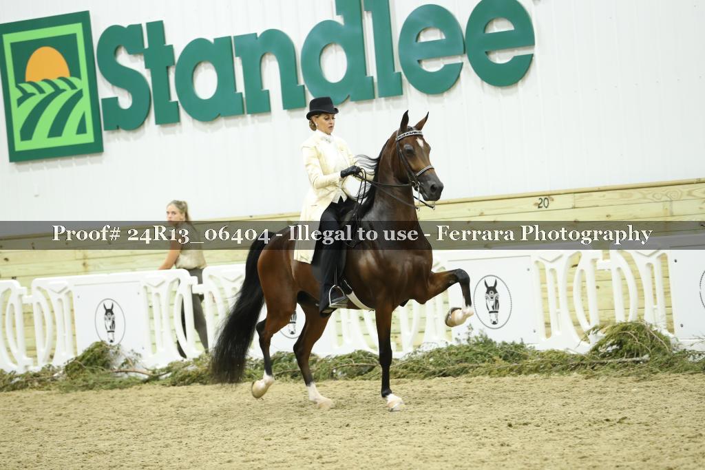 Proof Number 24R13_06404