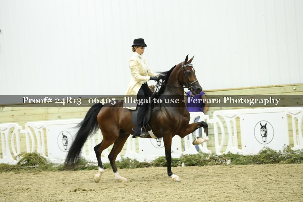 Proof Number 24R13_06405