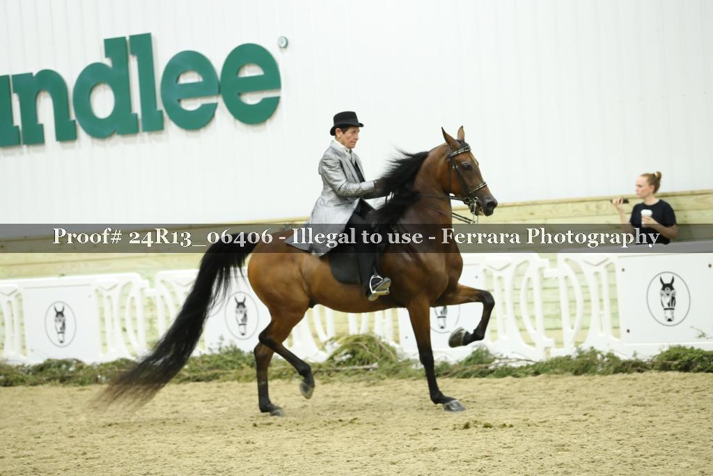 Proof Number 24R13_06406
