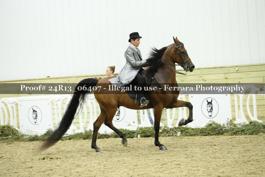 Proof Number 24R13_06407