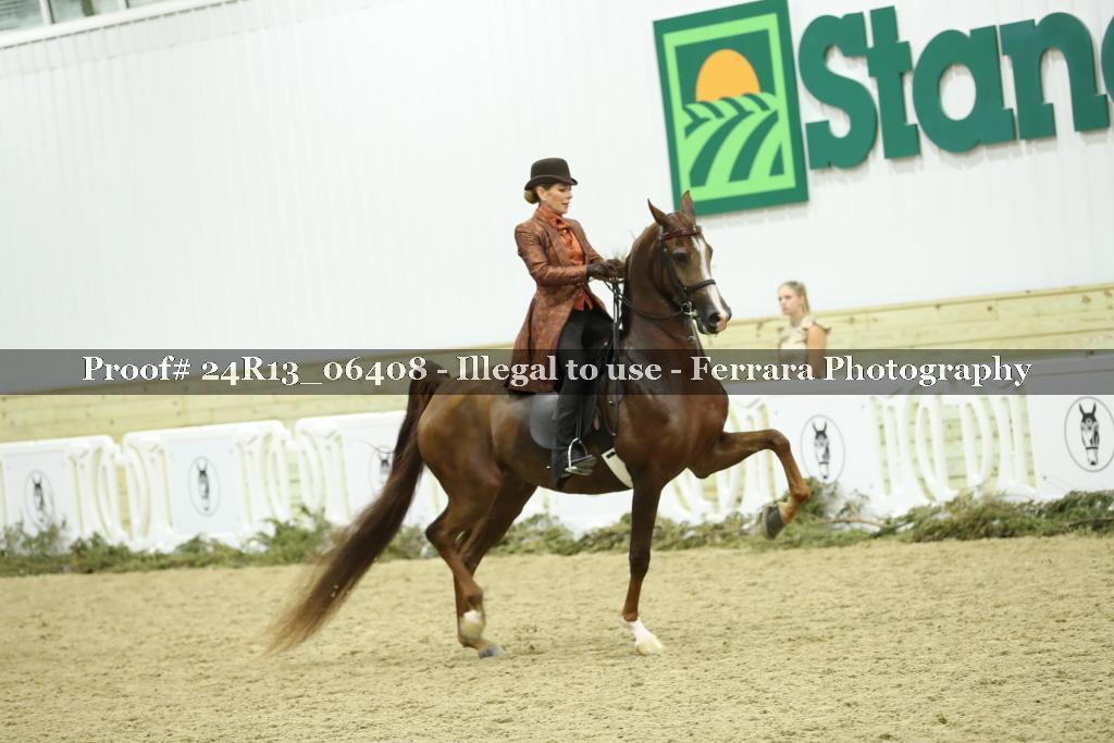 Proof Number 24R13_06408