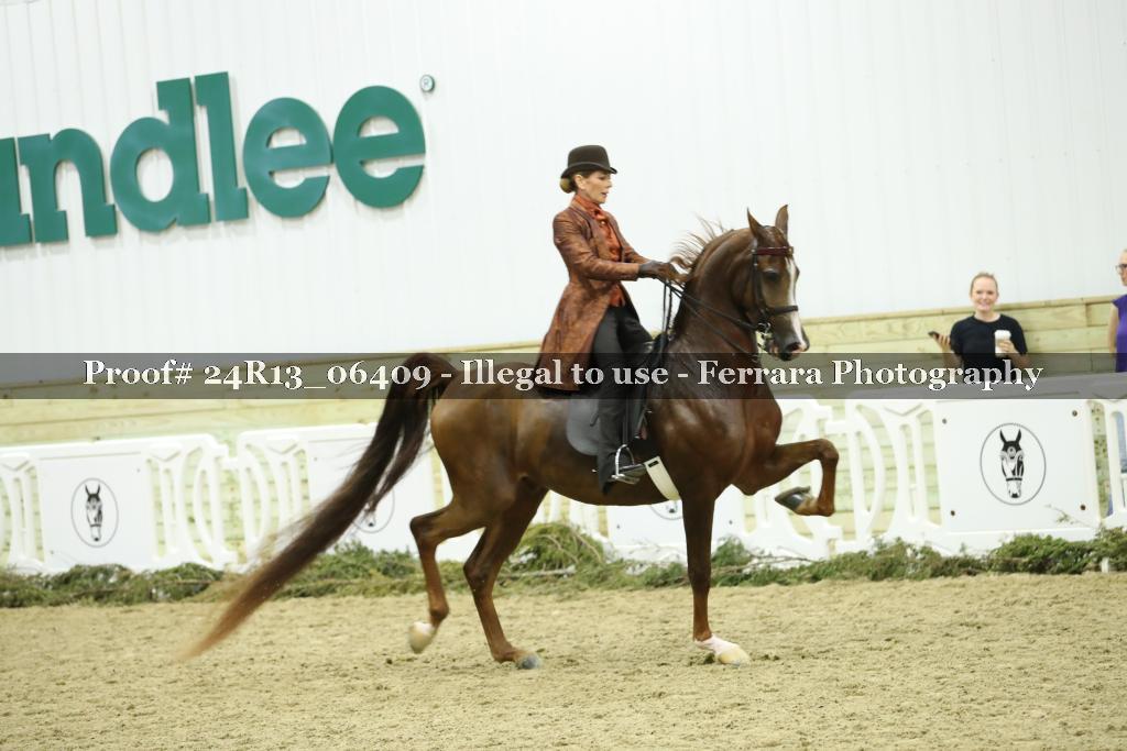 Proof Number 24R13_06409