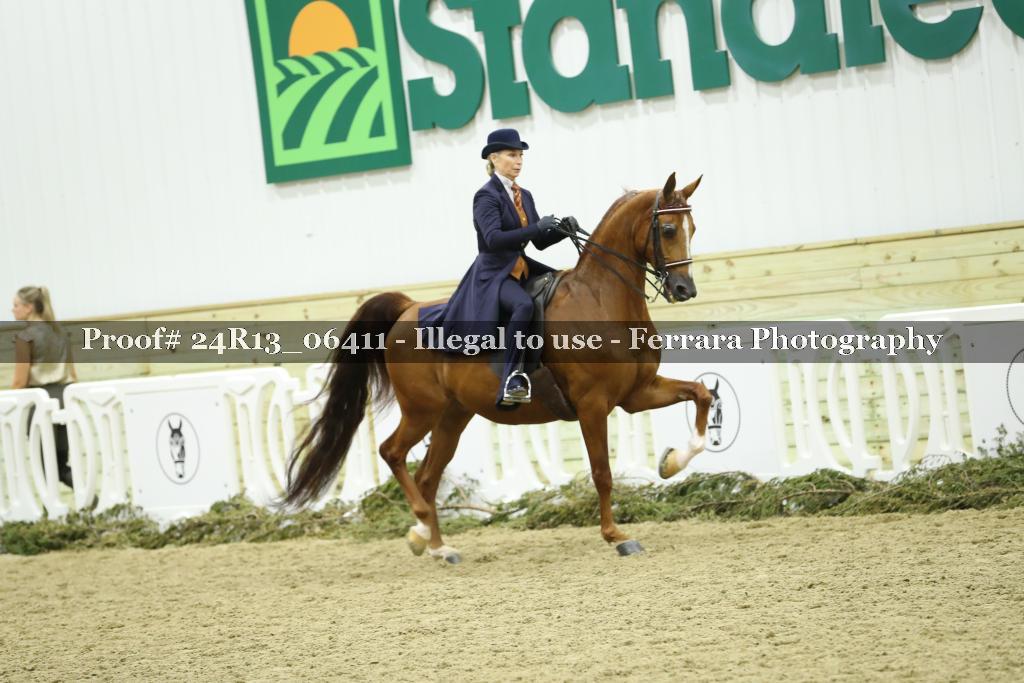 Proof Number 24R13_06411