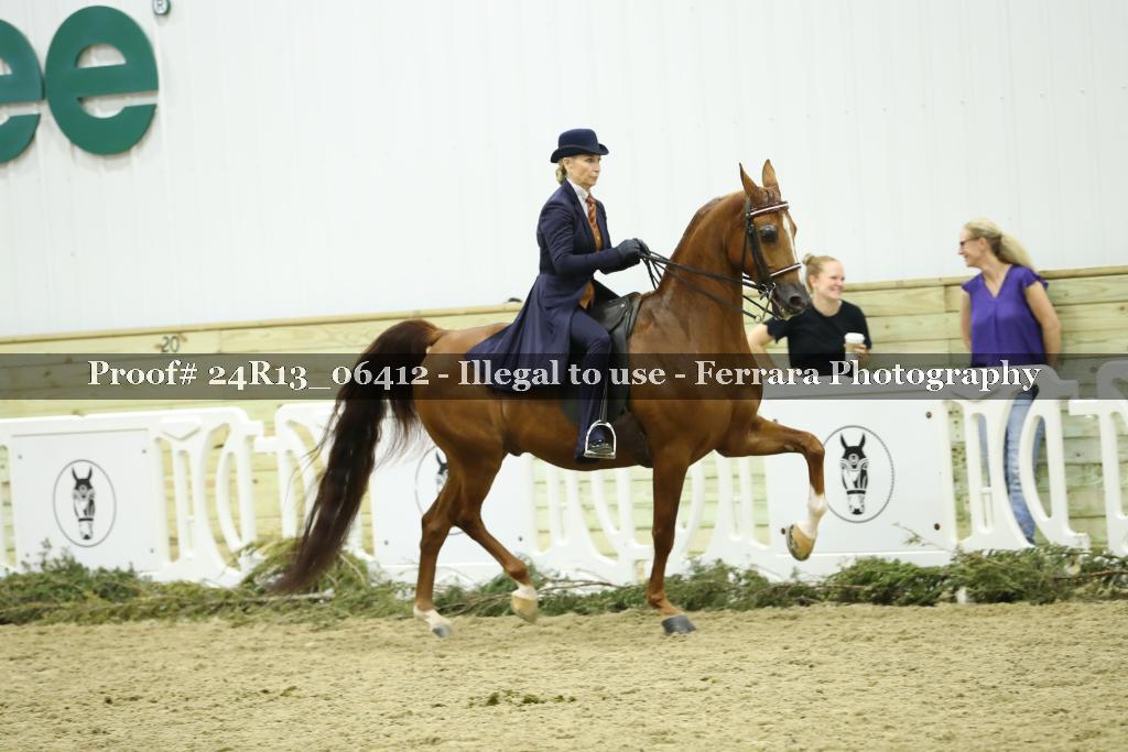 Proof Number 24R13_06412