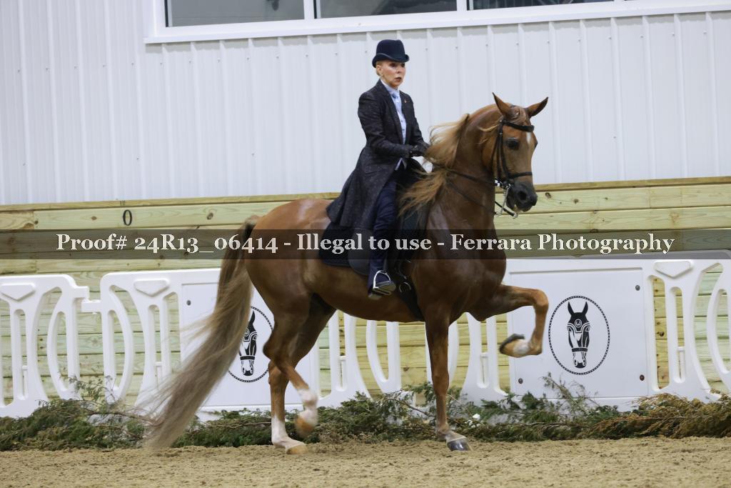 Proof Number 24R13_06414
