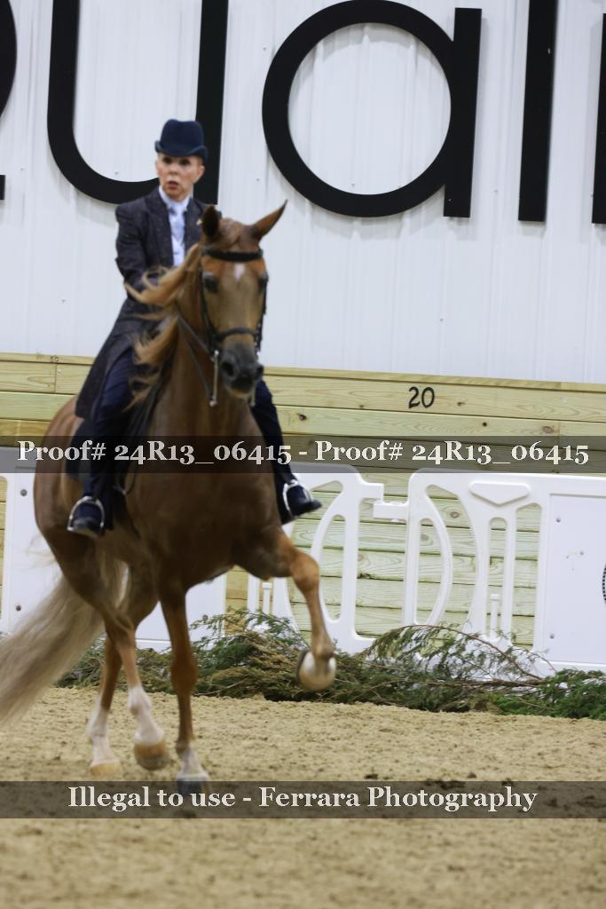 Proof Number 24R13_06415