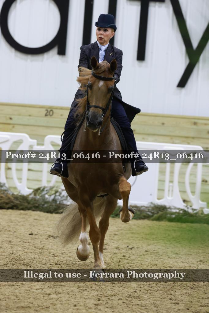 Proof Number 24R13_06416