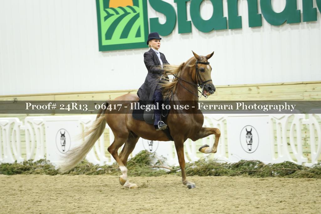 Proof Number 24R13_06417