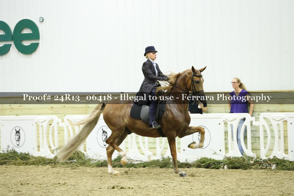 Proof Number 24R13_06418