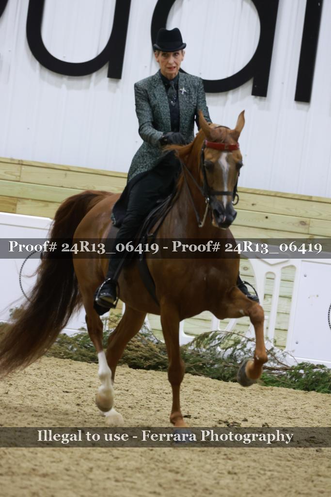 Proof Number 24R13_06419