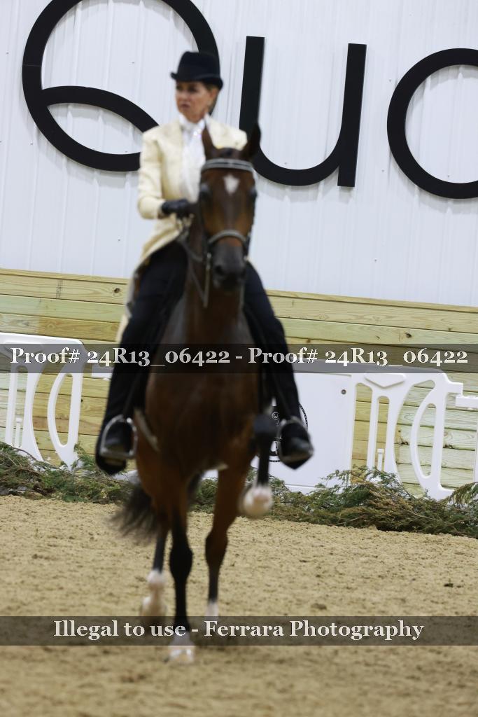 Proof Number 24R13_06422