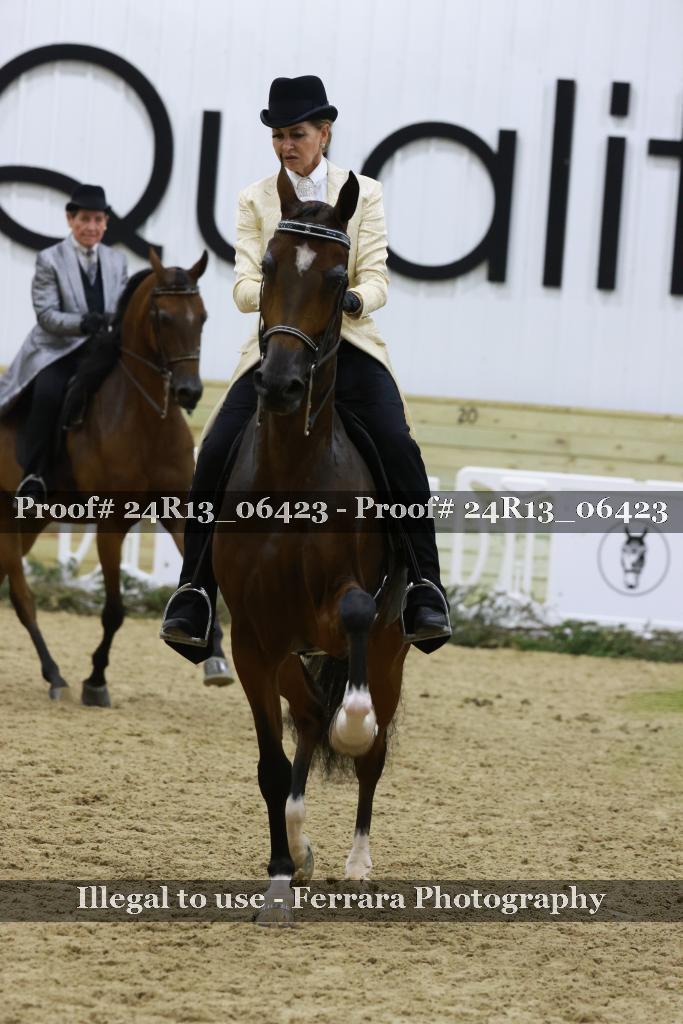 Proof Number 24R13_06423