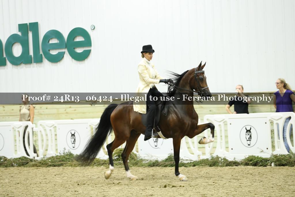 Proof Number 24R13_06424
