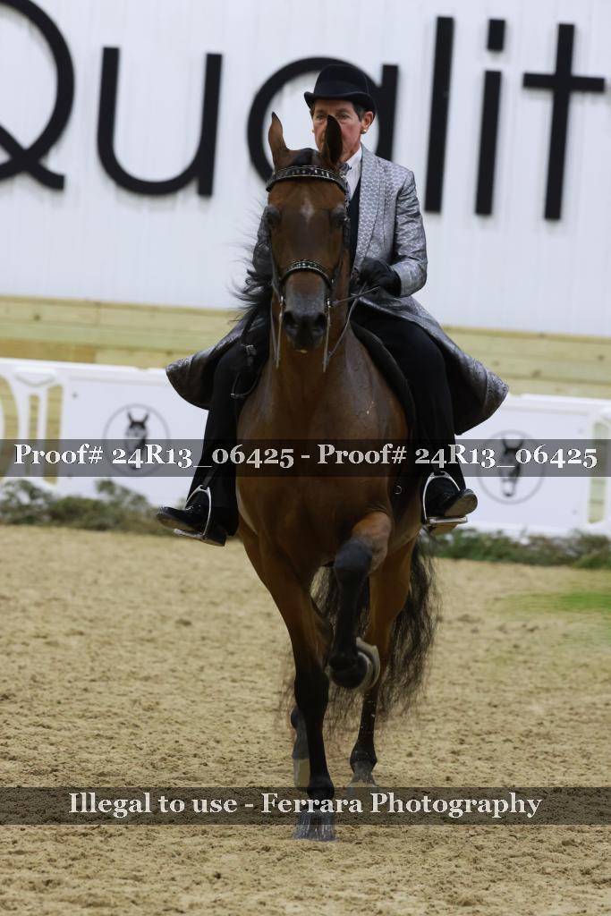 Proof Number 24R13_06425