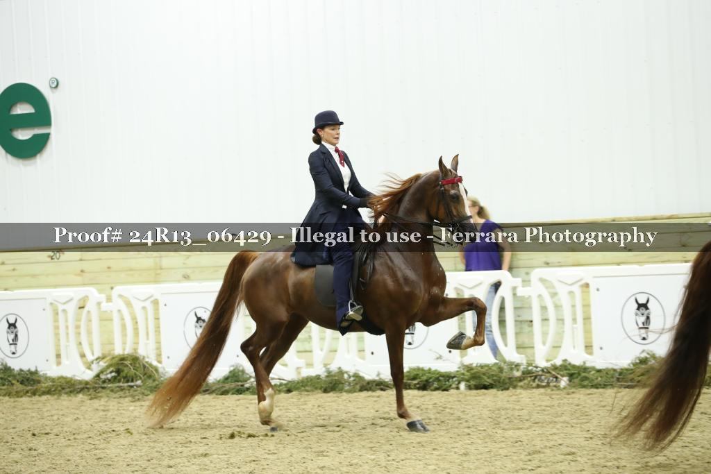 Proof Number 24R13_06429