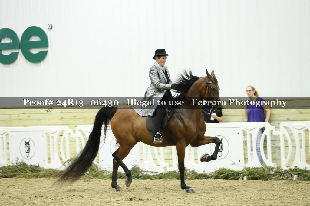 Proof Number 24R13_06430
