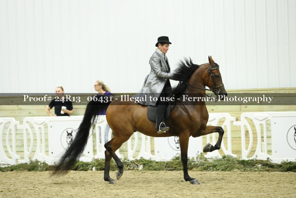 Proof Number 24R13_06431