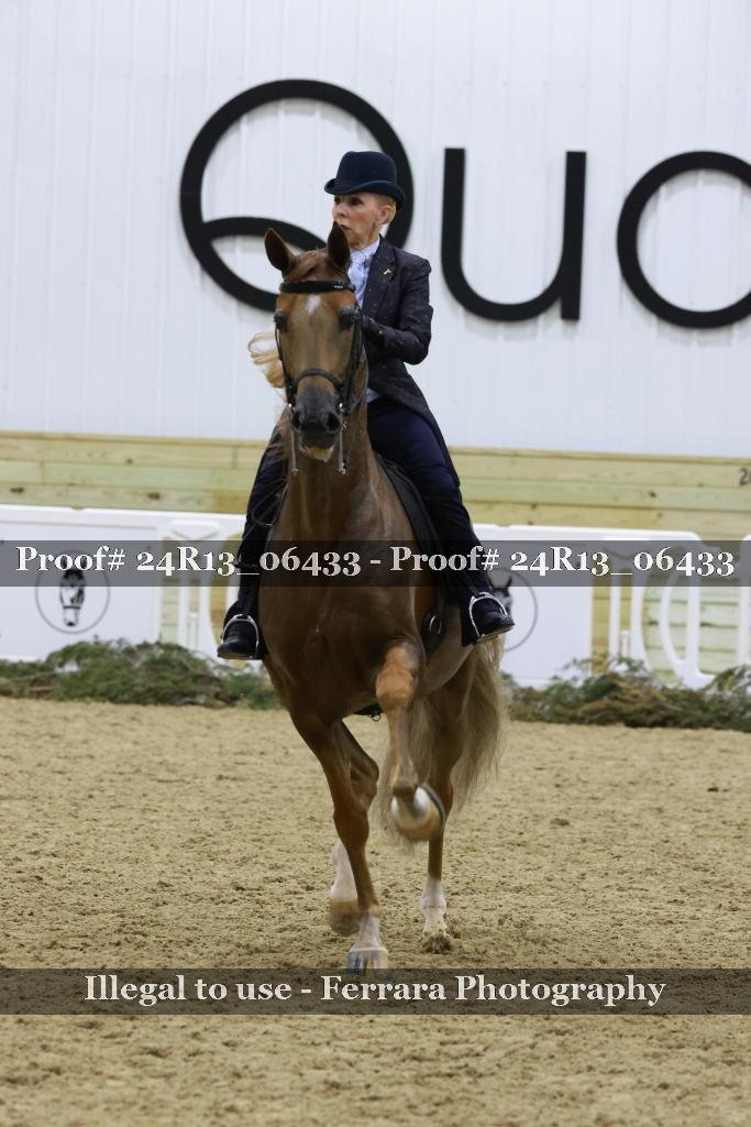 Proof Number 24R13_06433