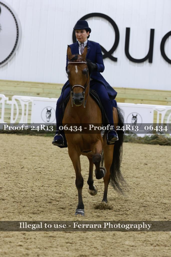 Proof Number 24R13_06434