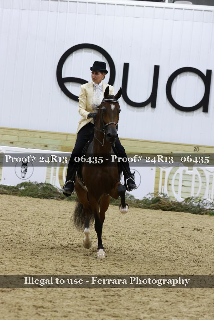 Proof Number 24R13_06435