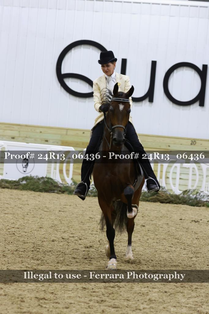 Proof Number 24R13_06436
