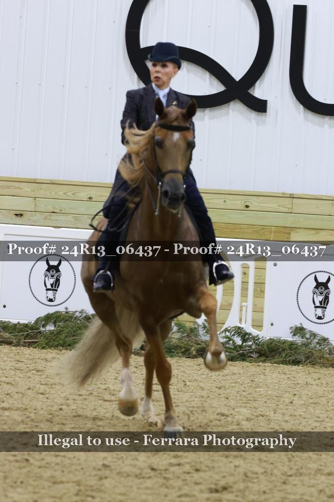 Proof Number 24R13_06437