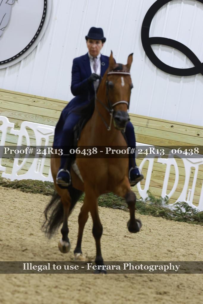 Proof Number 24R13_06438