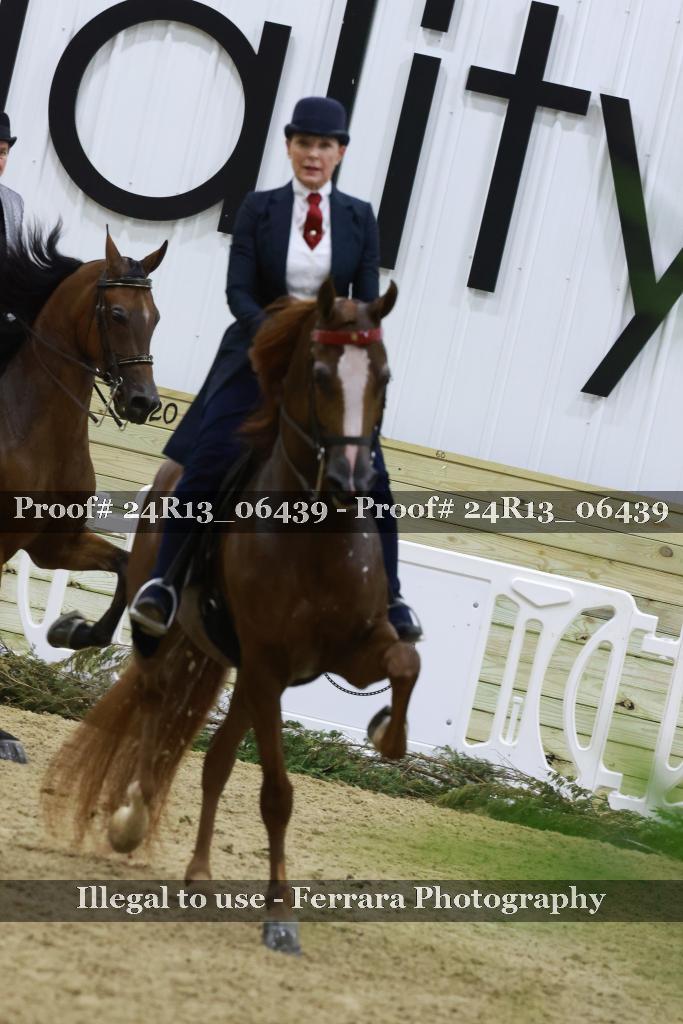 Proof Number 24R13_06439