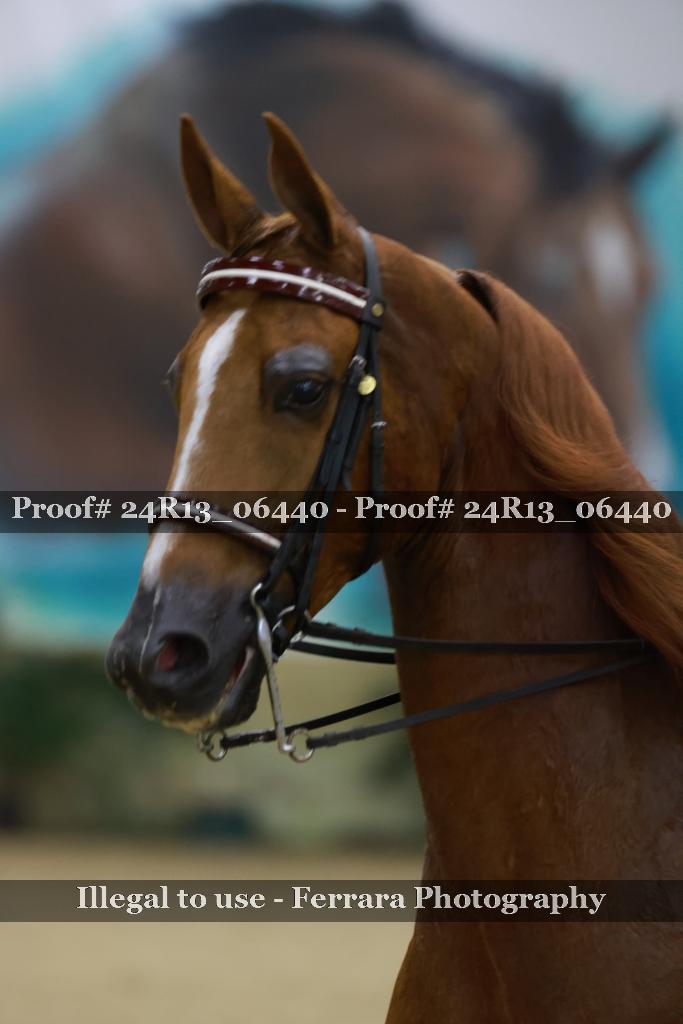 Proof Number 24R13_06440