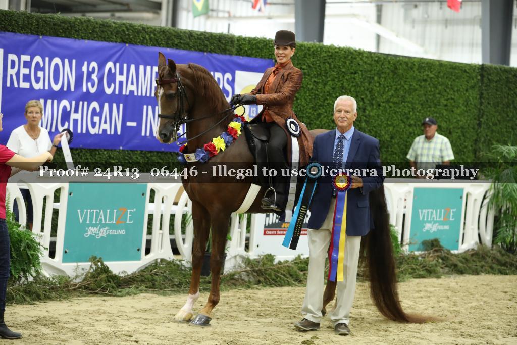 Proof Number 24R13_06446