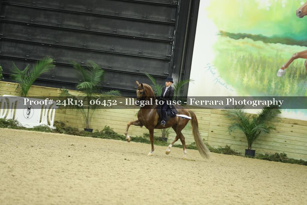 Proof Number 24R13_06452